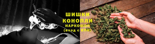 шишки Нязепетровск