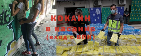 бошки Няндома