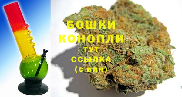 шишки Нязепетровск