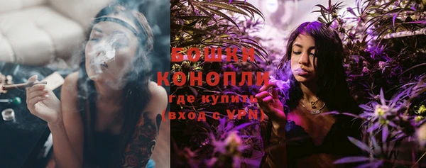 шишки Нязепетровск