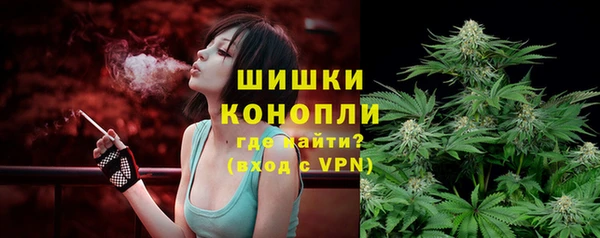 бошки Няндома