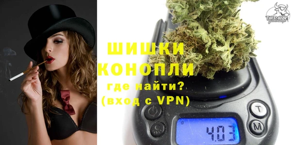 шишки Нязепетровск