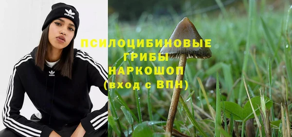 метадон Осташков