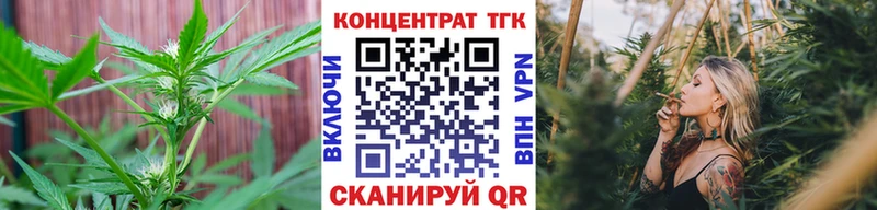 ТГК концентрат  купить закладку  Пятигорск 