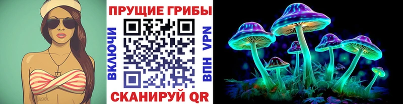 Галлюциногенные грибы Magic Shrooms  Пятигорск 