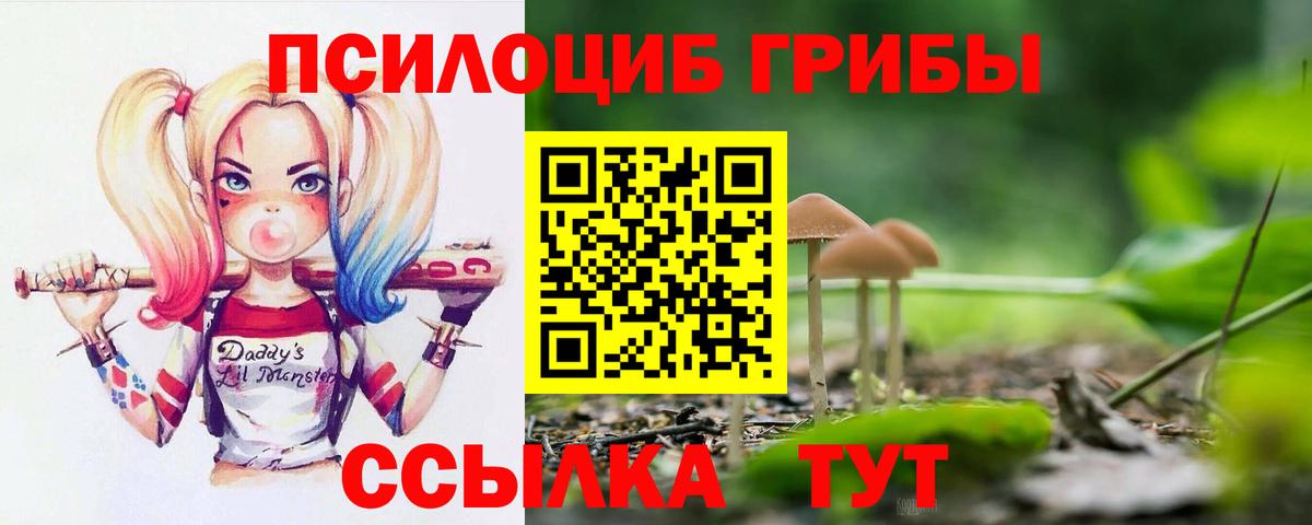 Псилоцибиновые грибы мицелий  Псилоцибиновые грибы Magic Shrooms  Пятигорск  купить наркоту  Вход с VPN 