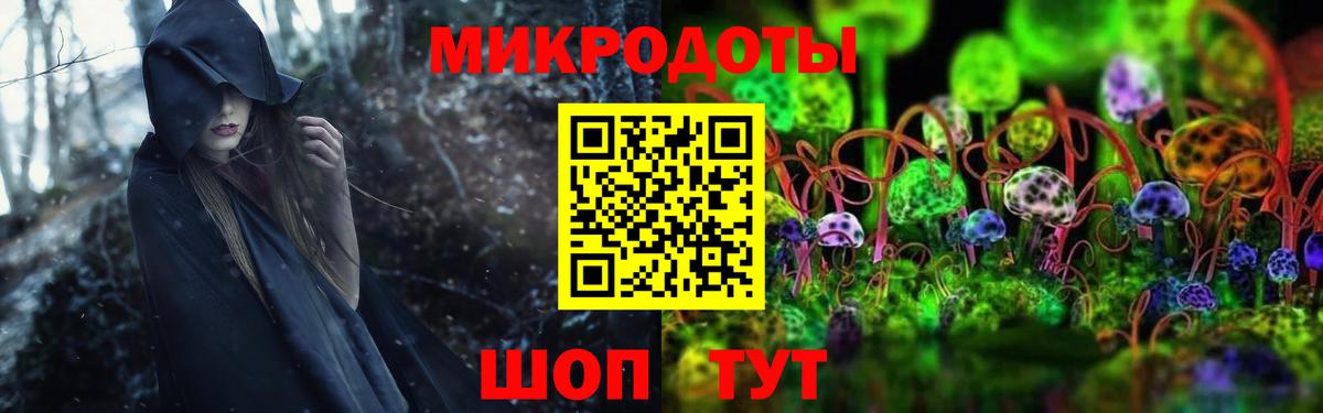 Галлюциногенные грибы прущие грибы  Пятигорск 