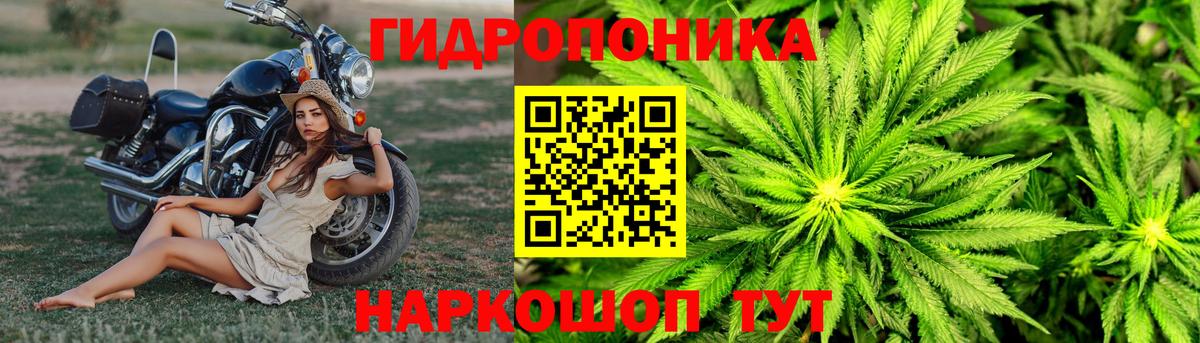 Бошки марихуана SATIVA & INDICA Пятигорск
